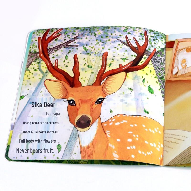 Early Learning Picture Book Set for Toddlers