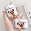Clear Earphone Cases Cover Case For Airpods Pro2 2 Pro3 4 Pro 3 1 Funny Cat Dog Pattern