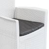Garden Chairs 2 pcs with Cushions White Plastic Rattan Look