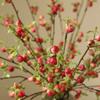 Frucht Zweig Künstliche Mini Äpfel Blumenarrangement DIY Florale Sträuße Heimdeko Simulation Blume Pflanze