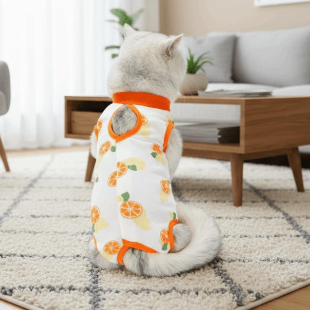 

Fruit Printed Cat Recovery Clothing Breathable High Elasticity Pet Anti-Licking Vest Comfortable Soft Cat Sterilization Suit S оранжевый
