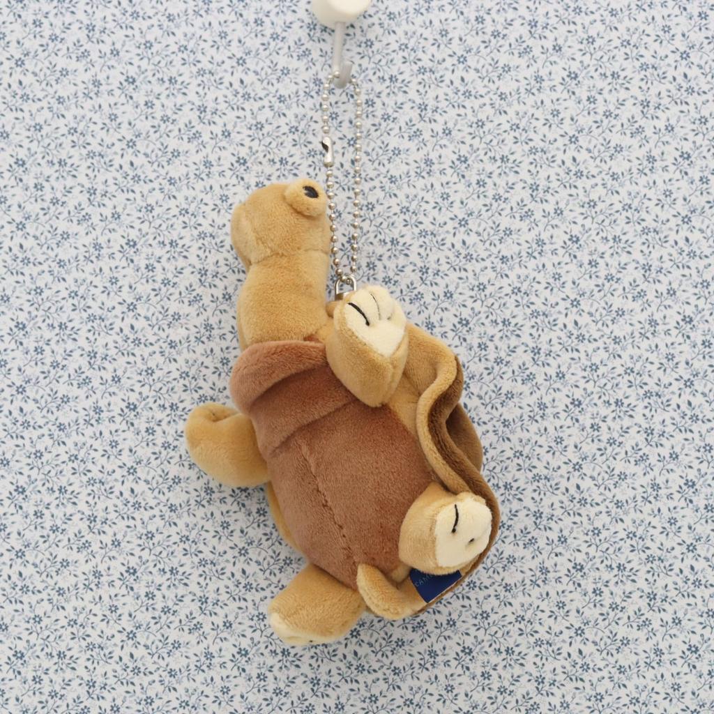 Take Off Tortoise Ball Chain