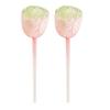 Self Watering Bulbs for Indoor Plants Mushroom Plant Watering Globes Planter Insert Strawberry Watering Bulbs for Busy Home Gardeners Potted Plants