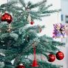 Accesorii pentru interiorul mașinii – Jucării auto şi decorațiuni