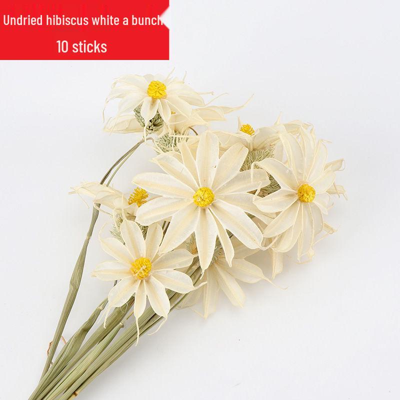 Preserved Eucalyptus & Sunflower Bouquet with Baby's Breath and Reeds – Perfect for Living Room Decor or Photography