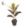 Artificial Rubber Tree: High-End Indoor Decor for Living Room - Large Bionic Plant