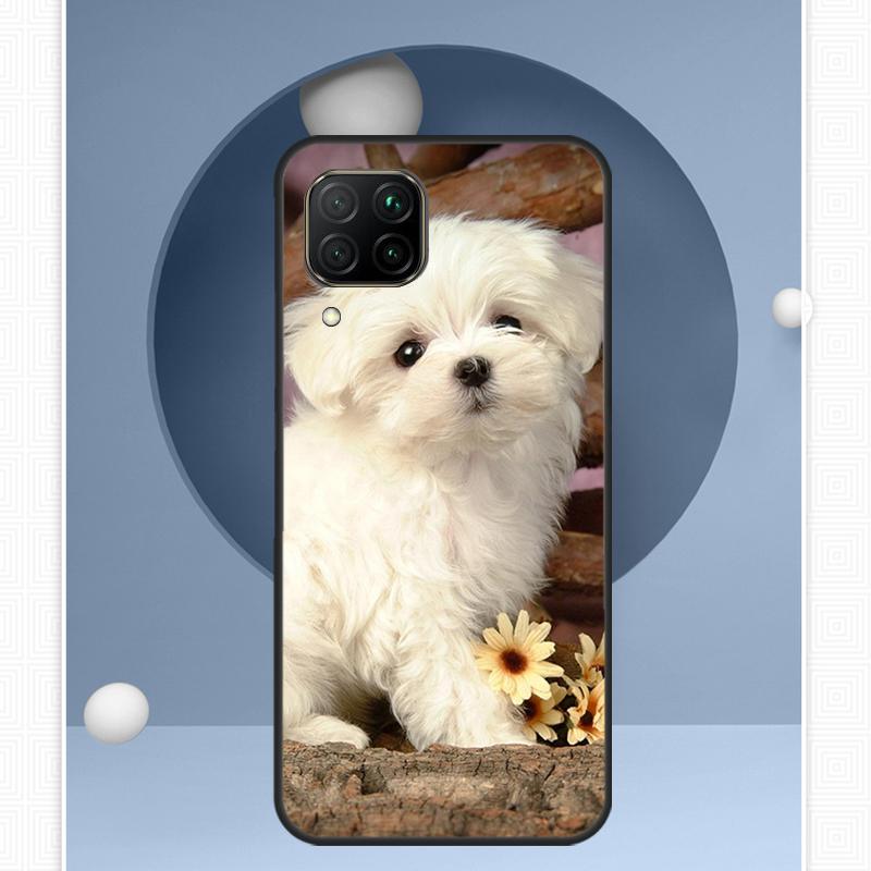Maltese Dog Puppies For Huawei Nova Y91 Y60 Y70 Y72 Y90 Y61 12s 12i 11i 8i 10 9 SE P20 P40 Lite P30 P60 Pro Case