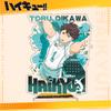 Volleyball Haikyuu 401 Series Acrylic Stand Figure Anime Merchandise Shoyo Hinata Toru Oikawa Kei Tsukishima Bokuto Koutarou