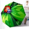 Accesorii – Umbrele
