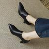 Elegante Wildleder Damen Pumps Schuhe Mode klobige hohe Absätze Loafer Klassisch spitzer Zeh zum Hineinschlüpfen Schwarze Absätze für Damen Kleiderschuhe