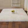 Imitation Wool Pad Long Hair Bedside Mat Plush Soft Sheepskin Bedroom Carpet Sofa Cushion White Rugs Bed Living Room