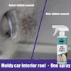 RAYHONG Odstraňovač plísní do auta vnitřní stropnice látka kožené sedadlo plíseň plíseň odstraňovač skvrn a udržovací prostředek