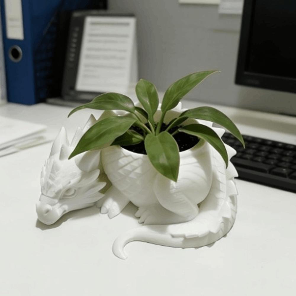 Growing Pots Succulent Planter 3D Printed Flower Container Flower Pot for Living Room