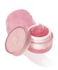 Pretty Filter Icy Sherbet Primer