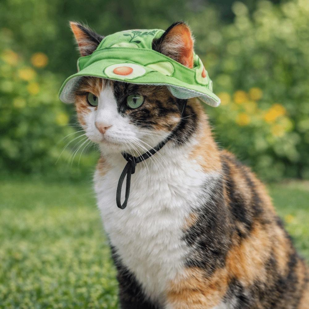 with Ear Holes Dog Sunscreen Hat Breathable Pet Visor Hat Fashion Cat Fisherman Hat  Summer Outing