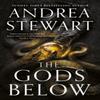 The Gods Below by Andrea Stewart Hardback Book 9780356520674