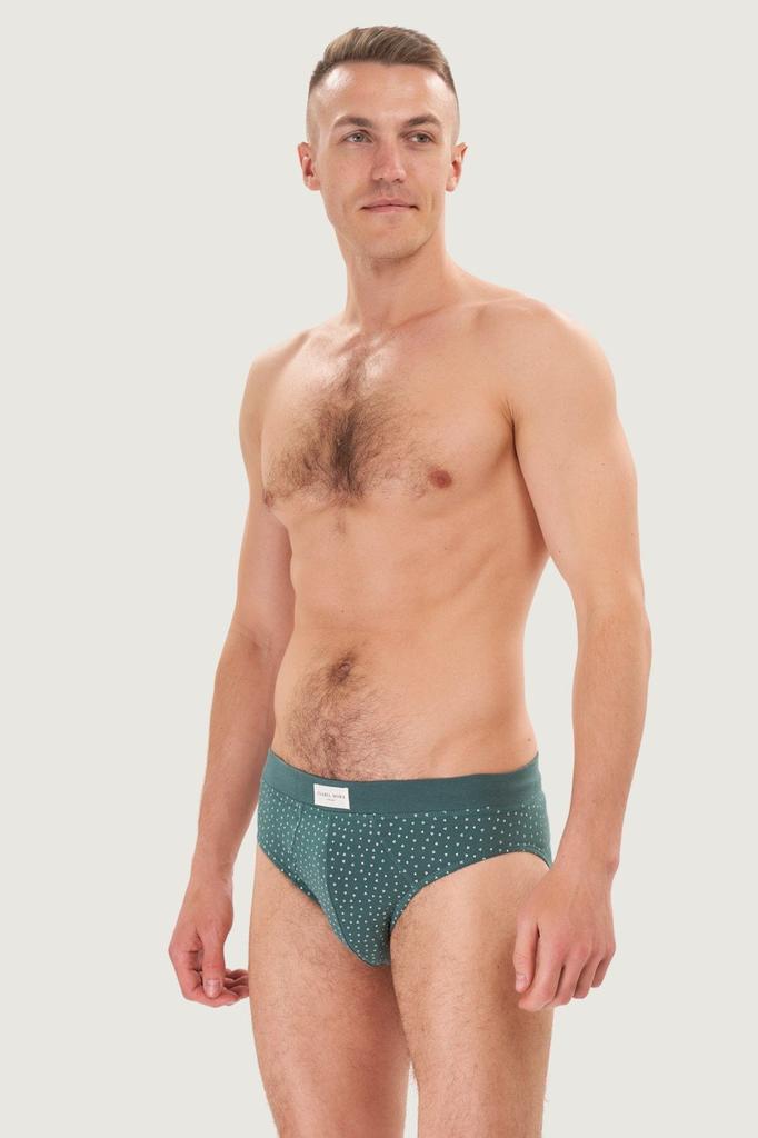 Slip Briefs, 2 Pieces Ysabel Mora (80949)