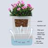 Self Watering Plant Pot Self Watering Planter with Cotton Rope Transparent Flower Pot with Visible Reservoir for Indoor Plants