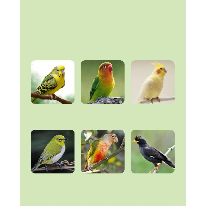 3 In 1 Multifunction Bird Bath for Cage Parakeet Bath Parakeet Bird Bath Bird Cage Bath for Feeding& Resting Acrylic Bathtub Box