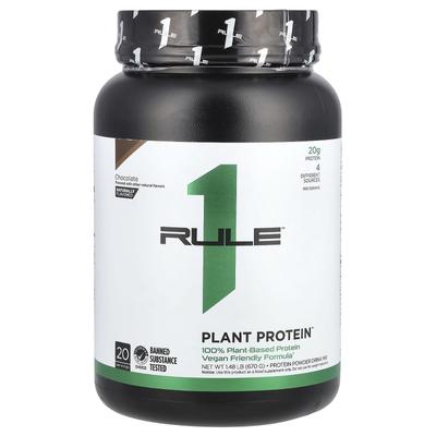 Pflanzliches Proteinpulver Getränkemischung, Schokolade, 1,48 lb (670 gr)