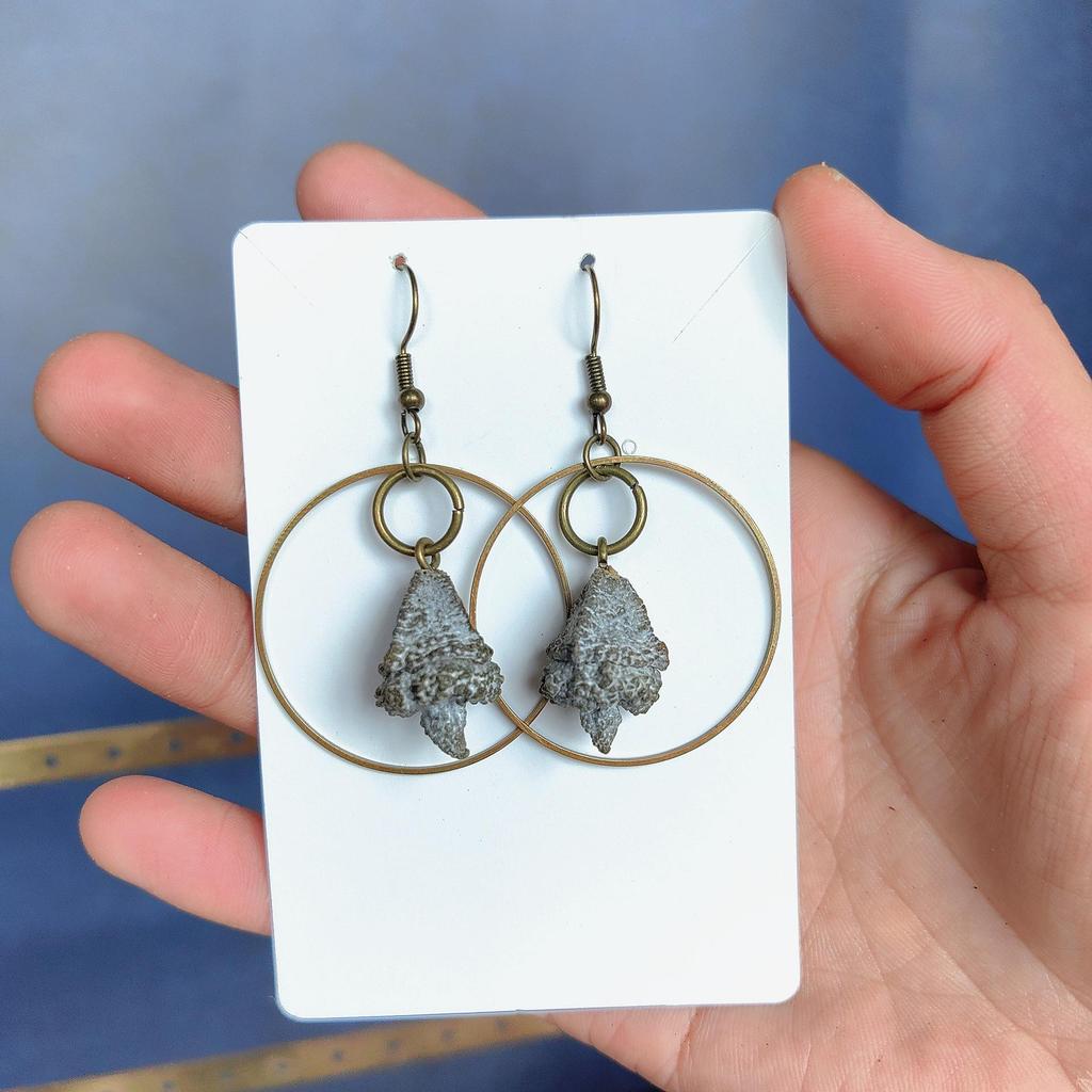 Fruit Earrings - Handmade Natural Dried Fruit Earrings, Retro Chinese Medicine Ethnic Style, for Women.