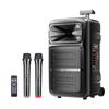 Newmine A12 12-inch Portable Bluetooth Trolley Speaker with Dual Mics