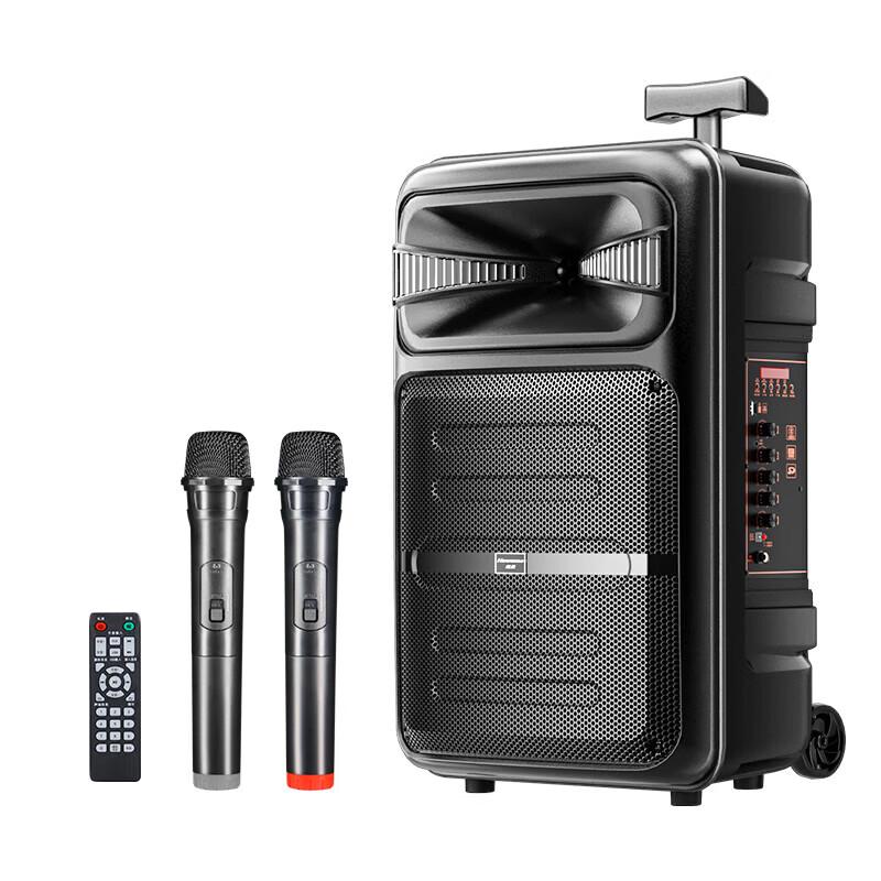 Newmine A12 12-inch Portable Bluetooth Trolley Speaker with Dual Mics