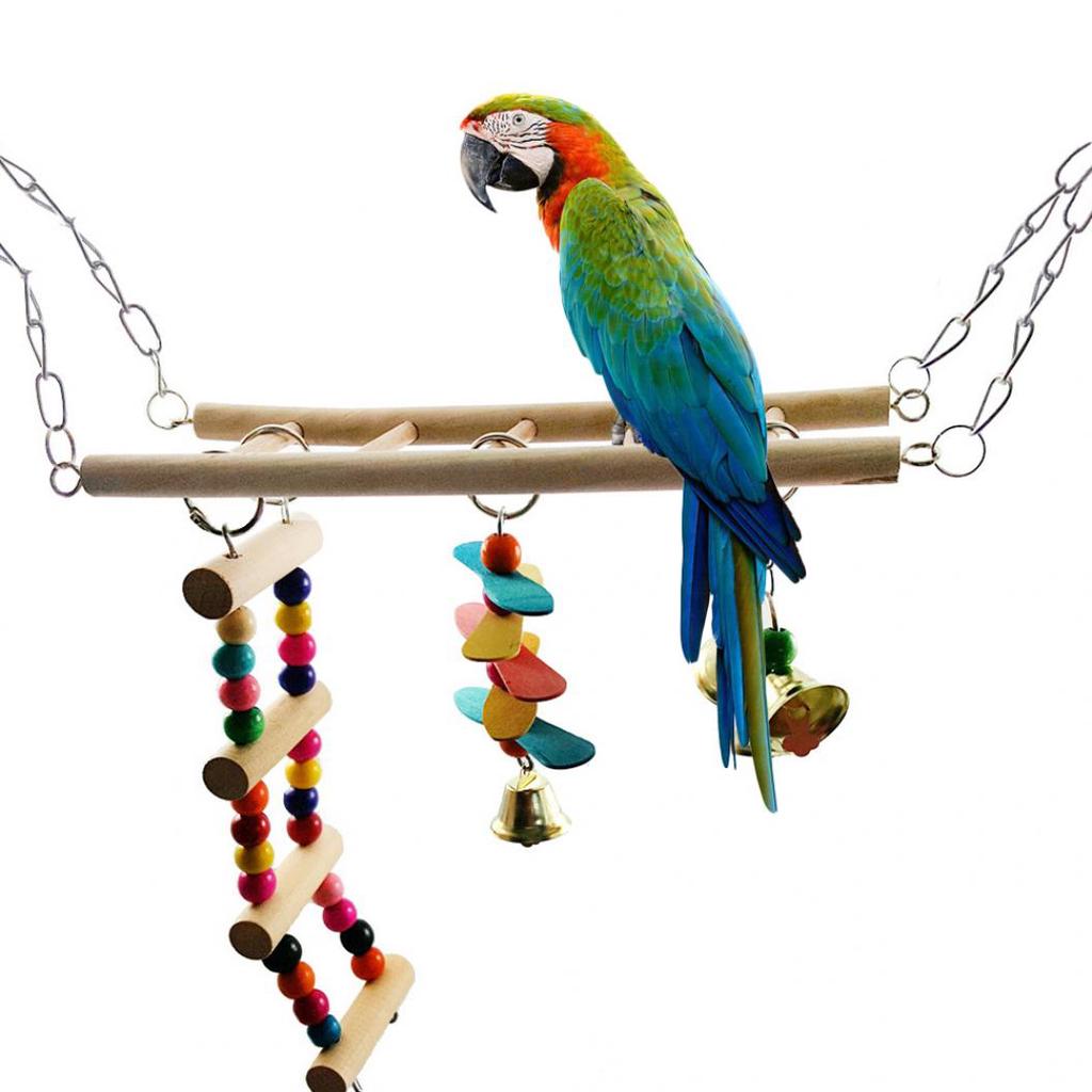 Vogel-Spielzeug Mit Leiter & Glocke - Für Papageien & Sittiche