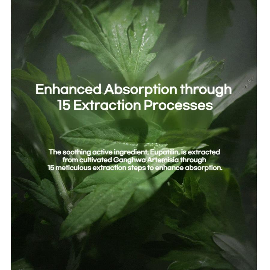 Hanyul Artemisia Moisture Calming Pad 170ml (60 Sheets)