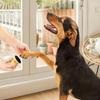 Dog Nail File Wooden Pet Nail Care Tool For Sensitive Pets Pet Care Supply