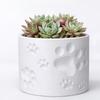 3D Printing Succulent Plant Container Cylinder Shape Decorative Planter Flower Pot  Desktop Decor