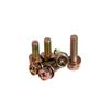 Hexagon Head Combination Screw Bolt Set with Washer and Spring Washer