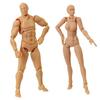 Attractive Drawing Mannequins Body-chan and Body-kun 1/12 Scale Figure Doll Poseable Figure Manga Illustration Mannequin Drawing Doll Base Body Male F