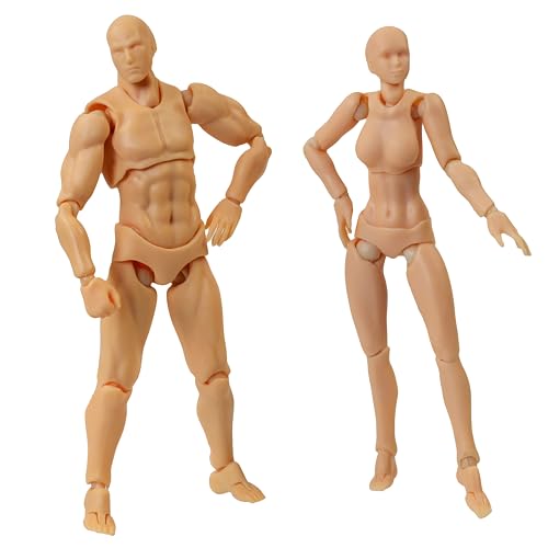 Attractive Drawing Mannequins Body-chan and Body-kun 1/12 Scale Figure Doll Poseable Figure Manga Illustration Mannequin Drawing Doll Base Body Male F