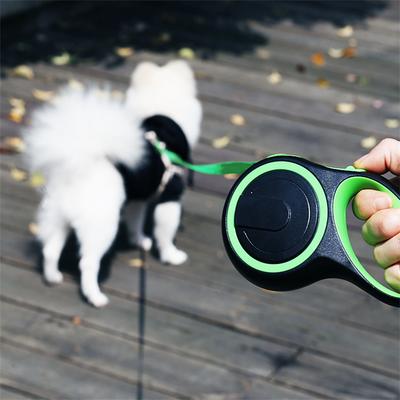 Cani – Collari e guinzagli per cani