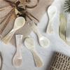 Ice Cream Conch Natural Stirring Tool Teaspoon Caviar Spoons Coffee Scoop