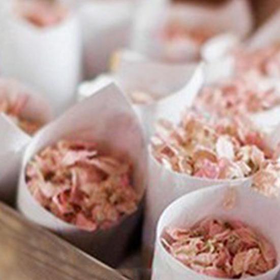 Confetti Cone Box Food Grade High Durability 5 Styles Confetti Candy Food Cone Holder Party Paper Tray Party Supplies