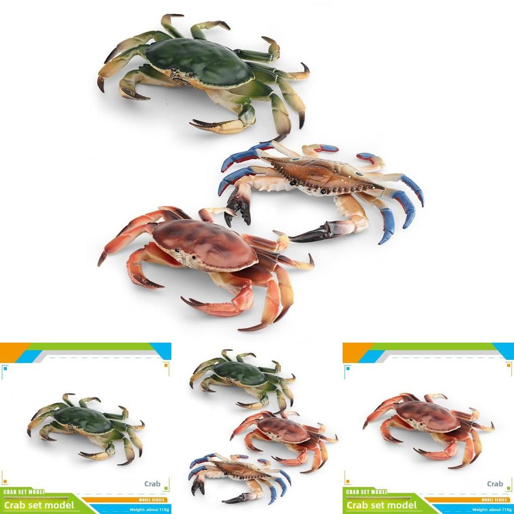 Marine Animal Crab Model With Realistic Design For Desktop Decor