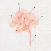 100Pcs Sharp Tip Education Lab Accessories Insect Dissections Supplies Specimen Pins Pin Needle