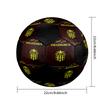 Hassania Agadir Indoor Soccer Ball Colorful All Ages Size 5 Machine Stitched PVC Competition Ready Durable High-Bounce