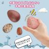 TUGO Wooden Egg Toy Play House Educational Toys for Kids Shape Recognition Egg Toy Simulation Egg Play Set Decorative Tools Wooden Toy Easter Egg Boys