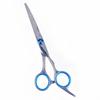 Stainless Steel Barber & Hairdressing Scissors Set: Flat Tooth & Thinning Options
