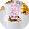 Mini Glass Flower Figurine Hand Blown Faux Crystal Hyacinth Cactus Collectible Ornament for Home Office Tabletop Garden Car Interior Decor