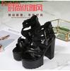 Punk Rock Style Platform Sandals Women Ankle Strap Belt Buckle Hegith Heels 14cm Sexy High Heels Shoes Cut Out Plus Size