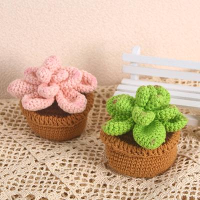 Handmade Emotional Support Crochet Plant Desktop Ornament Positive Crochet Succulents Doll Home Room Decoration Christmas Gift