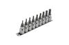 SIGNET Set Chei Tubulară Torx 22967V 3/8" 9 Bucăți