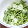 Yun Xiansheng Special Grade Jasmine Piaoxue Flower Tea