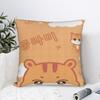 Pillow Case Aniteez Face Soft  Pillow Cover For Living Room Chair Cute Funny Pillowcases