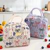 Food Thermal Insulated Bag Children School Lunch Box Bags Picnic Bag For Couples Unisex Portable Food Storage Student Lunch Bags
