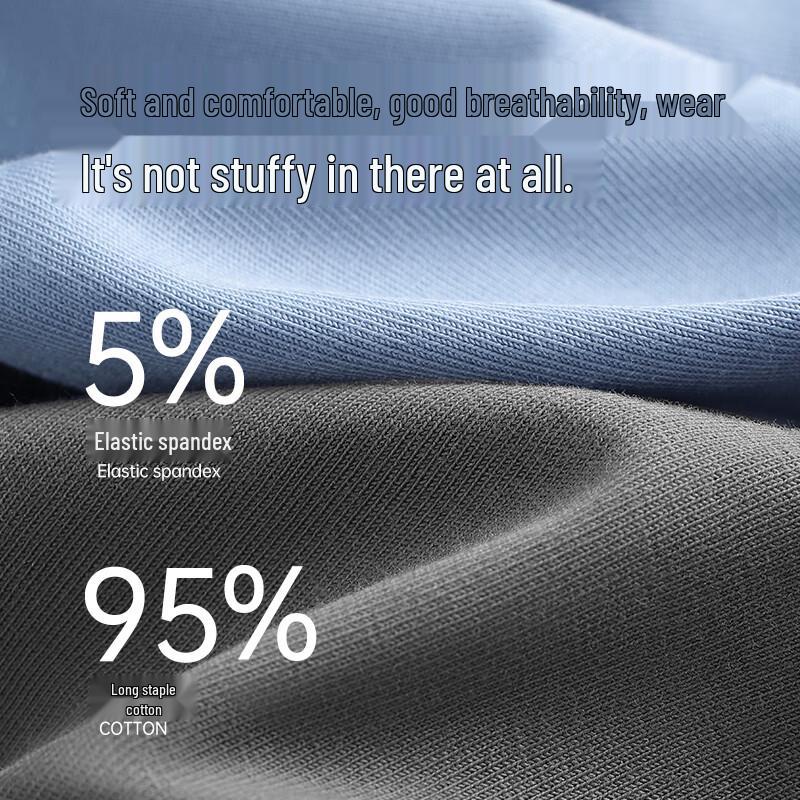 Hengyuanxiang Men's 5A Cotton Antibacterial Boxer Briefs